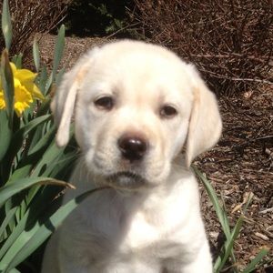 Meet your Posher, Keith